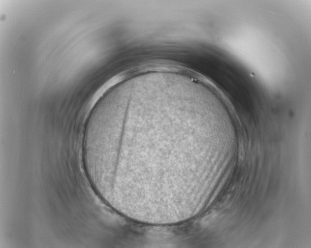 X0000088830861200706281754