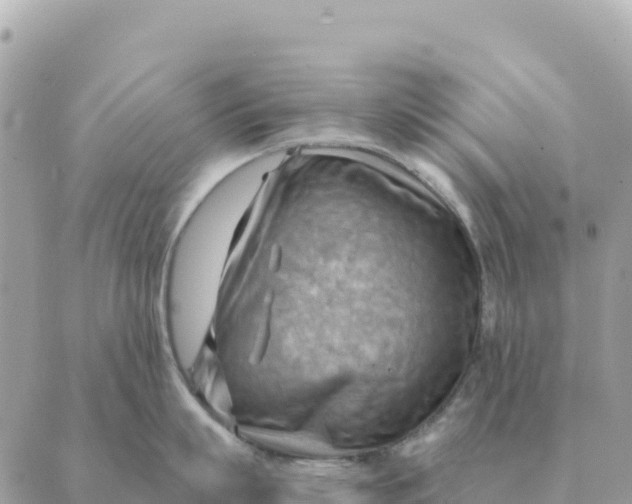 X0000088830863200706281754