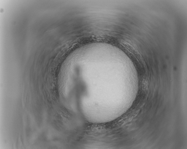 X0000088830865200706281753