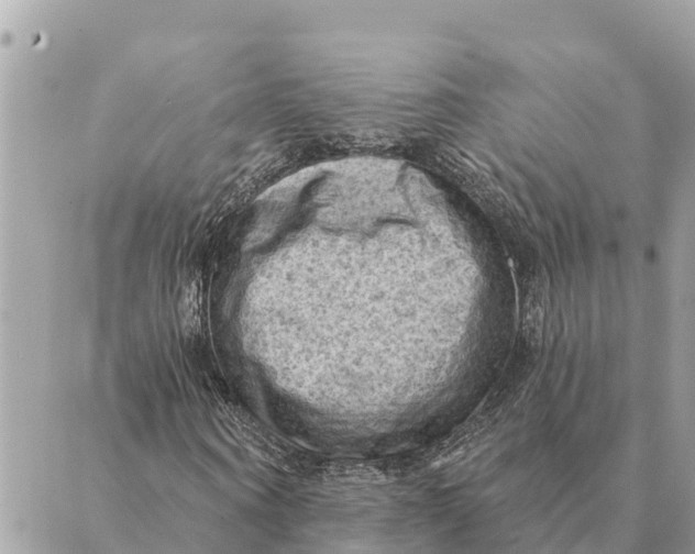 X0000088830866200706281753