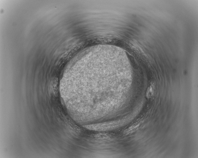 X0000088830867200706281753