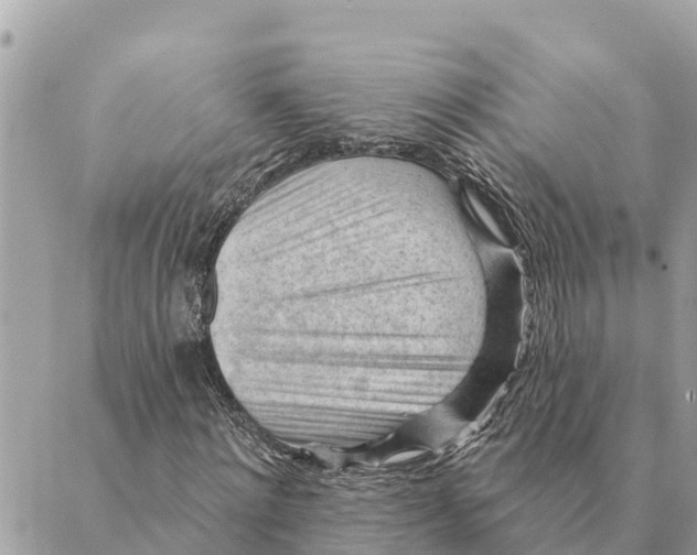 X0000088830868200706281753