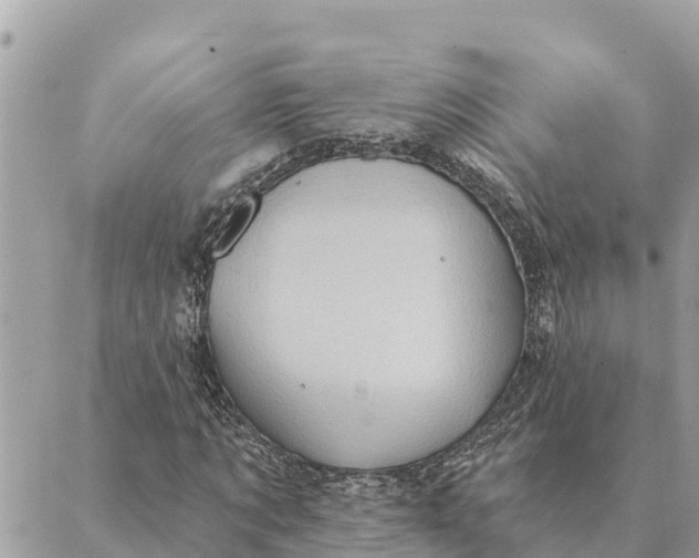 X0000088830869200706281753