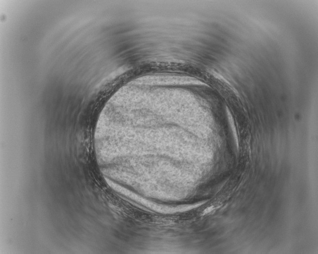 X0000088830870200706281753