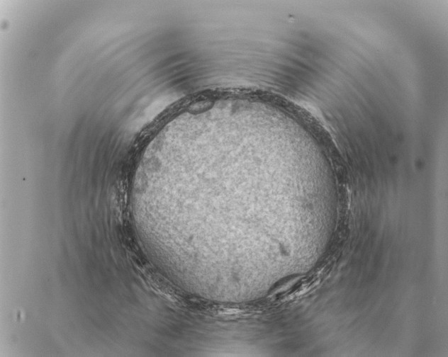 X0000088830871200706281753