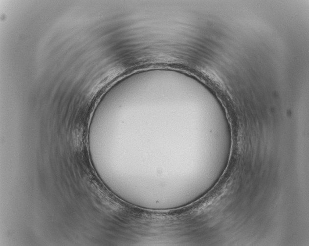 X0000088830873200706281753