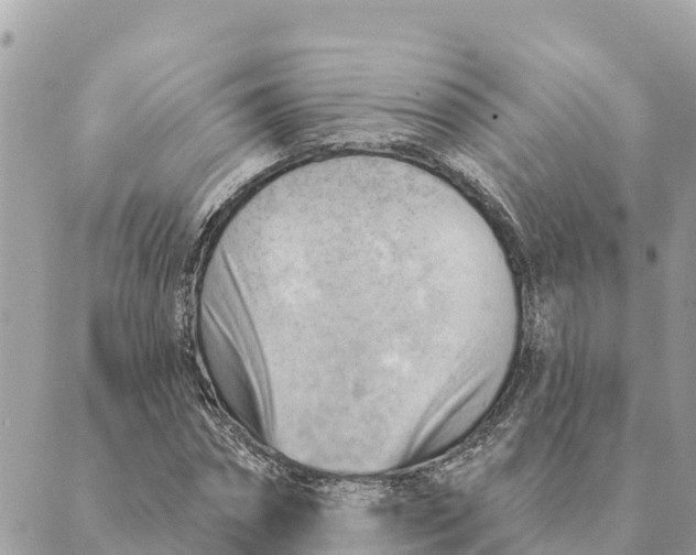 X0000088830874200706281753