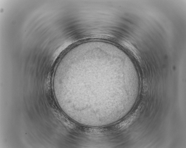 X0000088830875200706281753