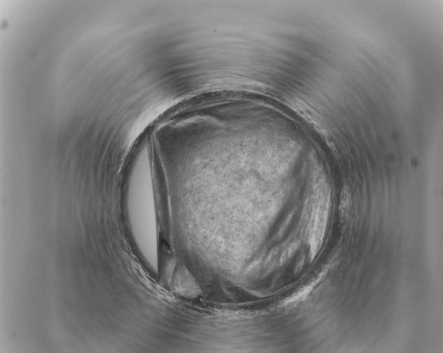 X0000088830877200706281753