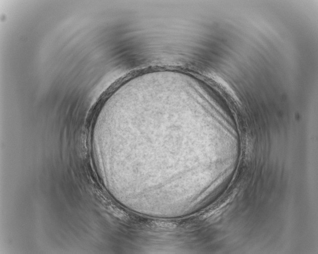 X0000088830878200706281753