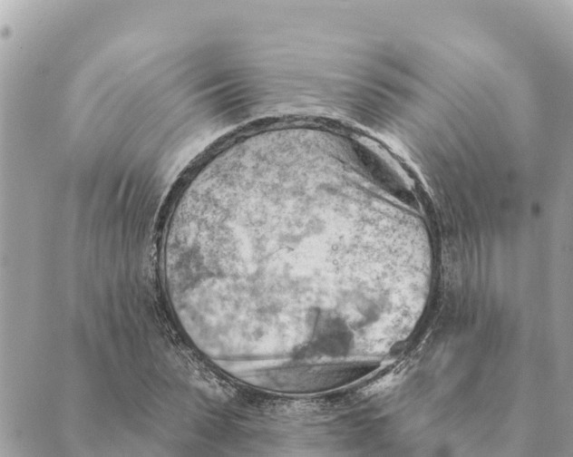 X0000088830879200706281753