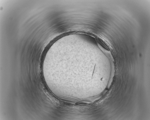 X0000088830880200706281753