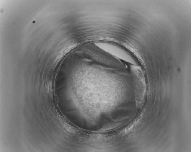 X0000088830881200706281753