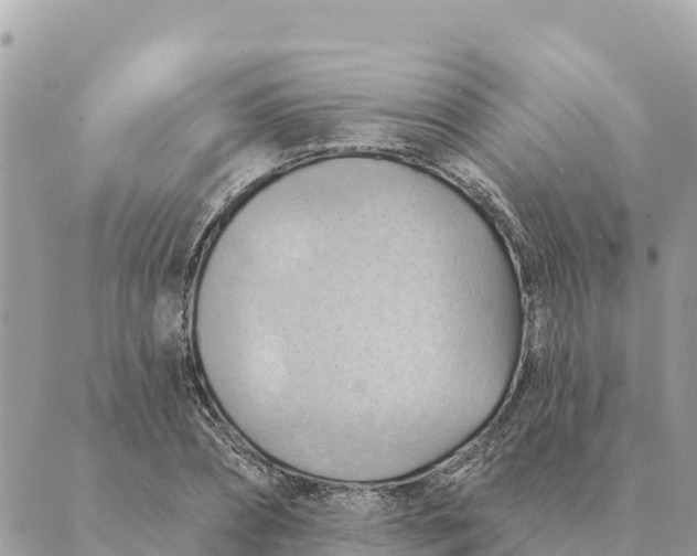 X0000088830882200706281753