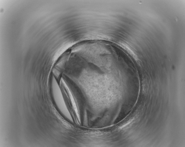 X0000088830885200706281753