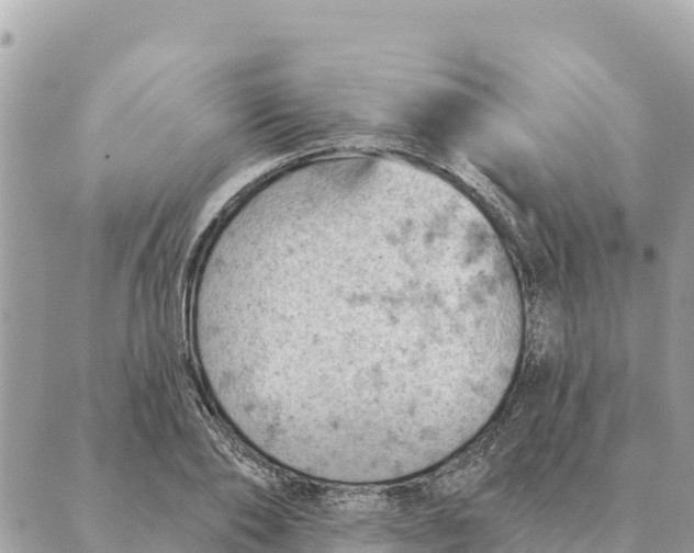 X0000088830886200706281753