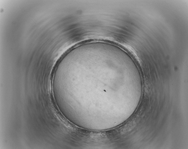 X0000088830887200706281753