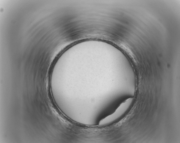 X0000088830888200706281753