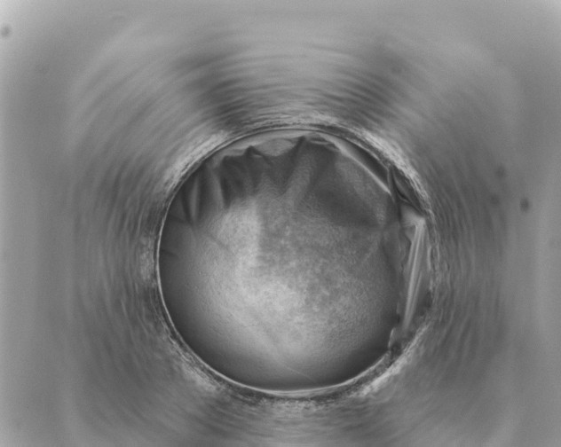 X0000088830889200706281753