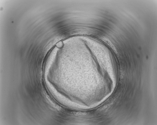 X0000088830890200706281753