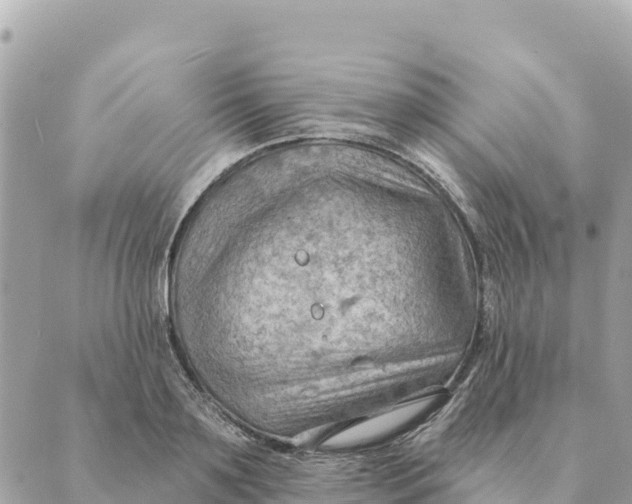 X0000088830891200706281753