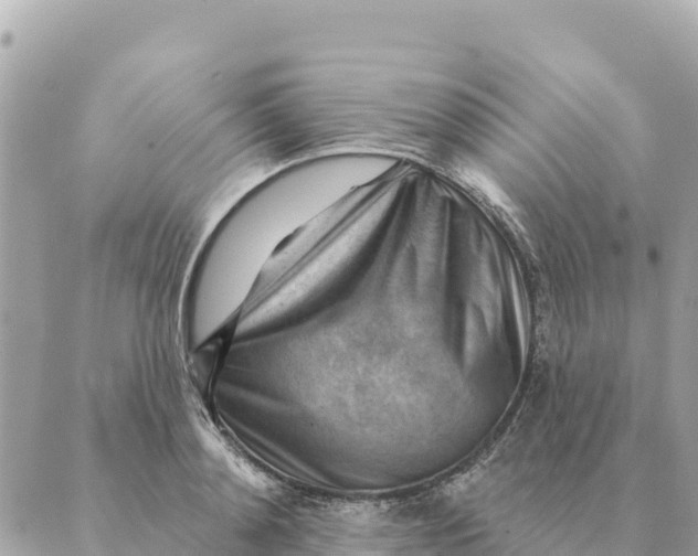 X0000088830892200706281753