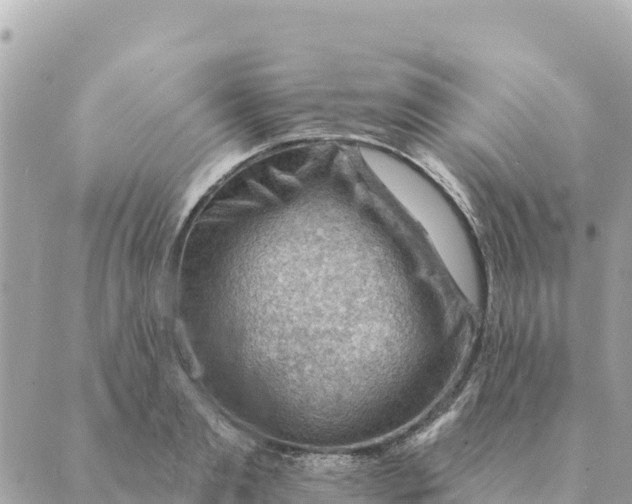 X0000088830893200706281753