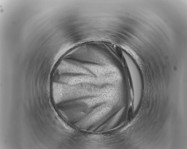 X0000088830894200706281753