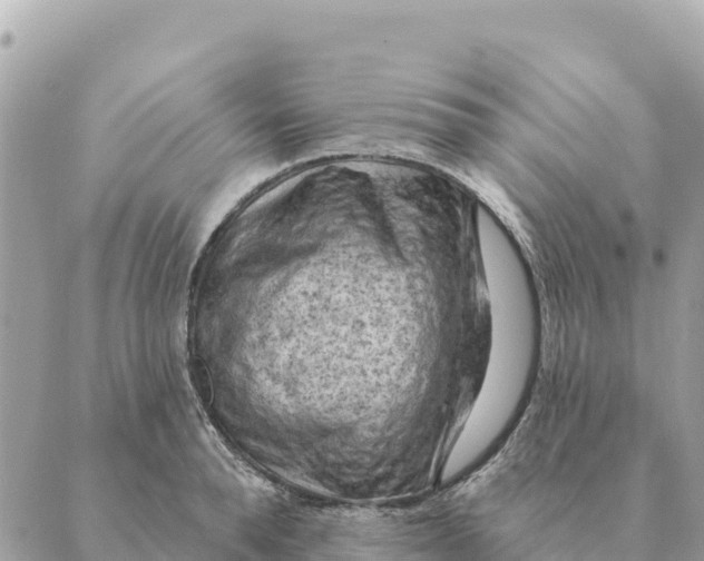 X0000088830896200706281753