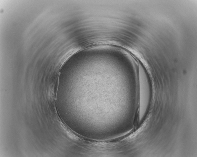 X0000088830897200706281753