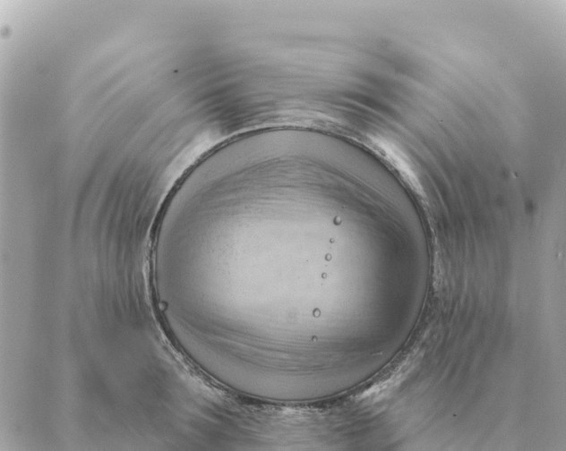 X0000088830899200706281753