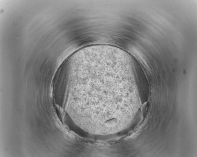 X0000088830900200706281753