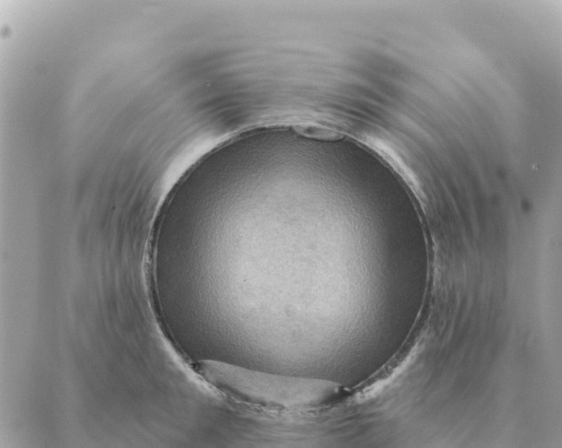 X0000088830901200706281753