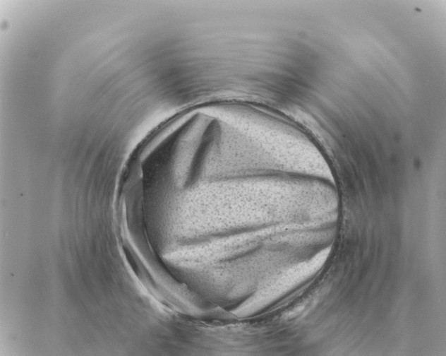 X0000088830902200706281753