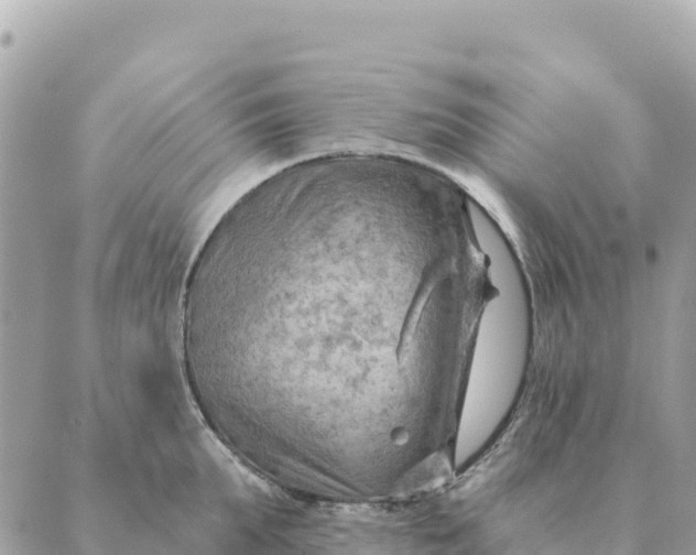 X0000088830903200706281753