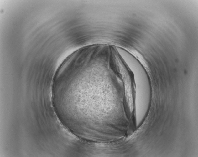 X0000088830904200706281753