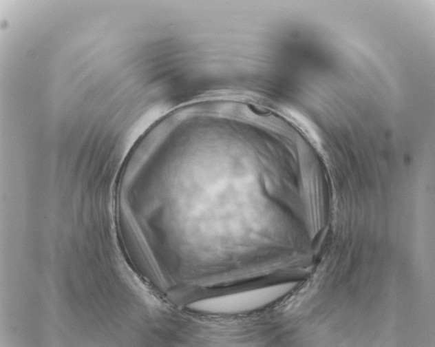 X0000088830907200706281753