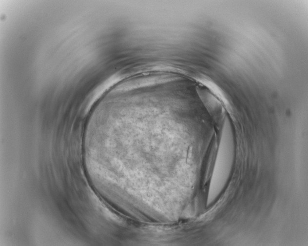 X0000088830910200706281753