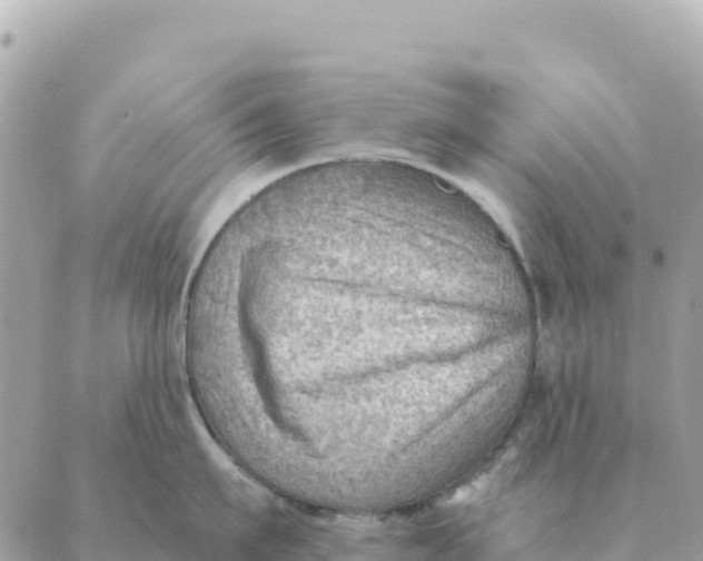 X0000088830911200706281753