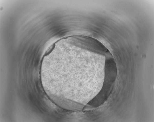 X0000088830912200706281753