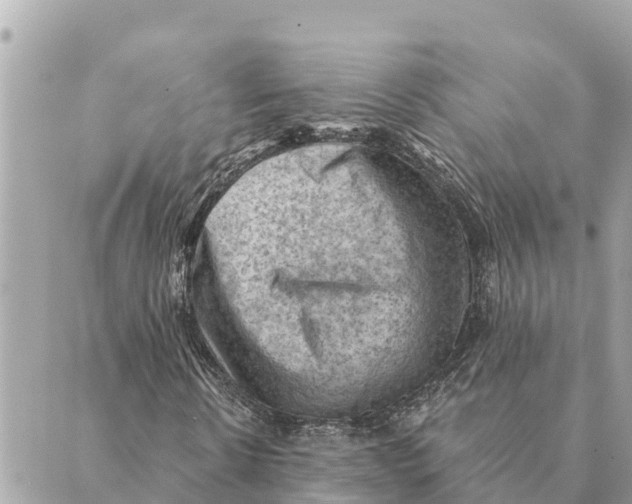 X0000088830914200706281752