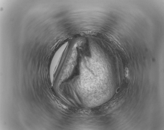 X0000088830915200706281752