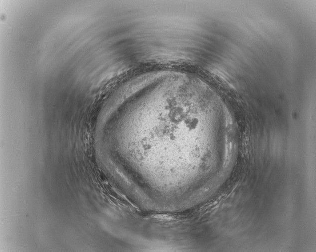 X0000088830917200706281752