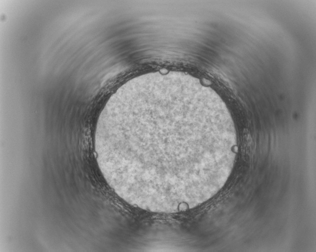 X0000088830918200706281752