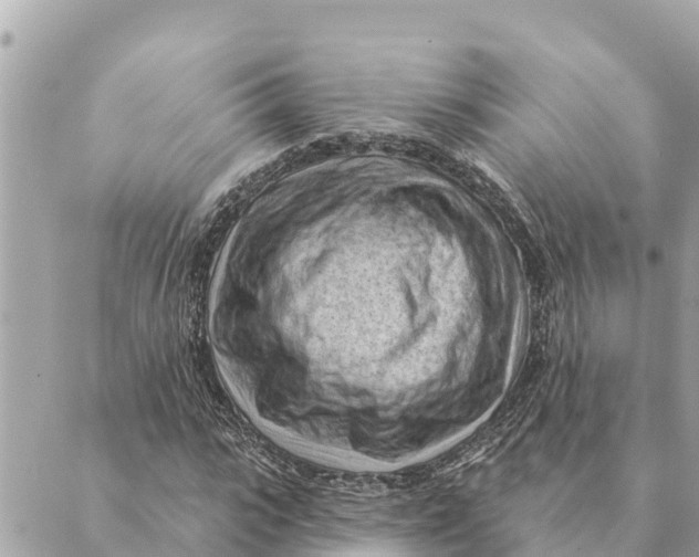 X0000088830919200706281752