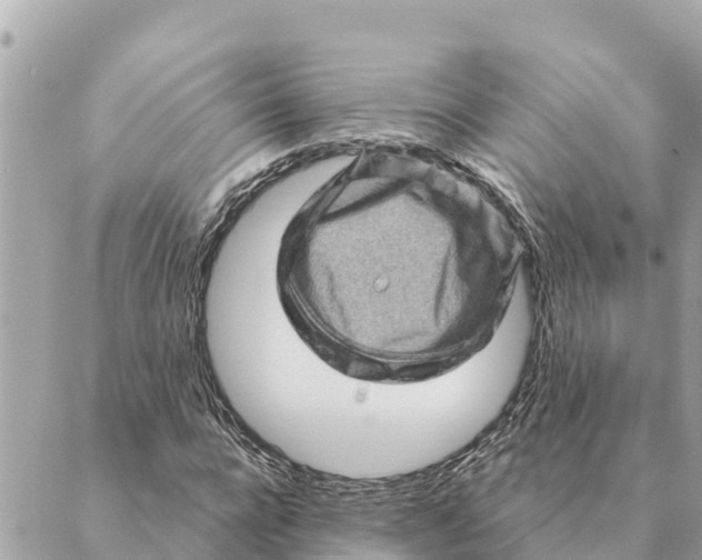 X0000088830920200706281752