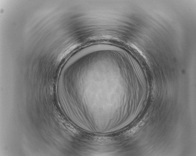 X0000088830921200706281752