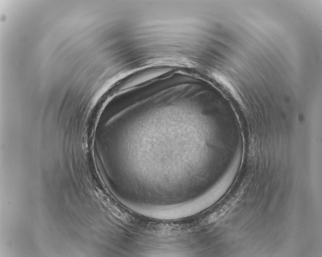 X0000088830923200706281752