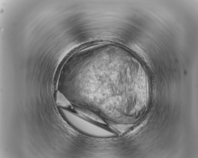 X0000088830924200706281752