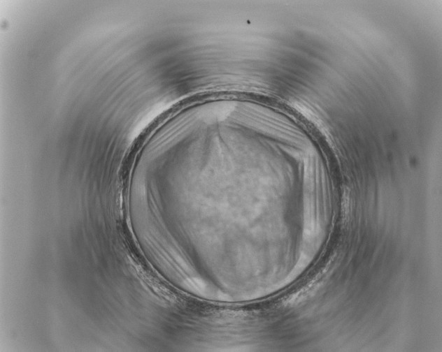 X0000088830925200706281752